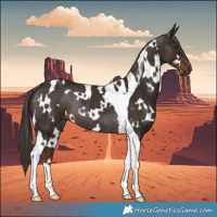 Horse Color:White Spotted Liver Chestnut Tobiano Rabicano 