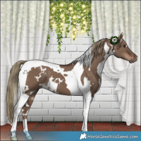 Horse Color:White Spotted Liver Red Dun Tobiano 