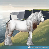 Horse Color:Gray White Spotted Chestnut Tobiano Appaloosa Rabicano 