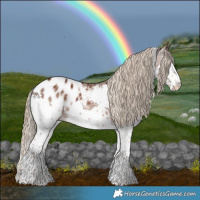 Horse Color:White Spotted Liver Chestnut Splash Appaloosa 