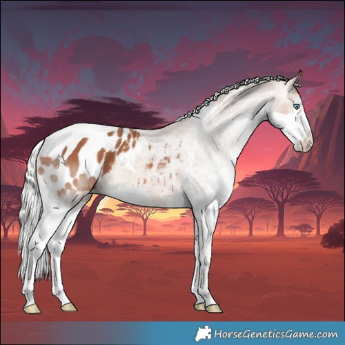Horse Color:White Spotted Silver Bay Splash Tobiano Appaloosa 
