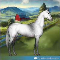 Horse Color:Gray White Spotted Brown Rabicano 