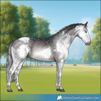 Horse Color:Gray White Spotted Bay Splash Tobiano Varnish 