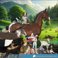 Horse Color:White Spotted Liver Chestnut Tobiano Rabicano 