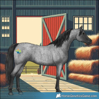 Horse Color:Blue Roan 