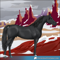 Horse Color:Black 