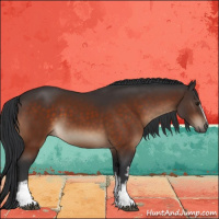 Horse Color:White Spotted Brown 