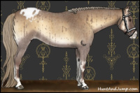 Horse Color:Chocolate Palomino Roan Onyx Varnish 