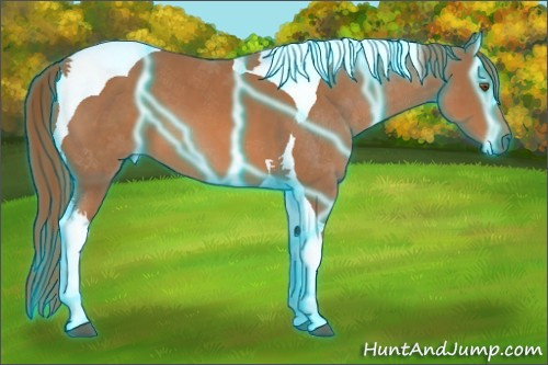 Horse Color:Thunderstruck Chestnut Tobiano 