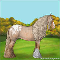 Horse Color:Red Roan Blanket 