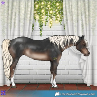 Horse Color:White Spotted Liver Chestnut Mushroom 