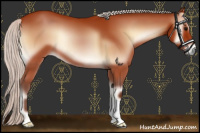 Horse Color:Silver Bay Onyx