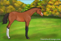Horse Color:Brown 