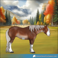 Horse Color:White Spotted Silver Bay 