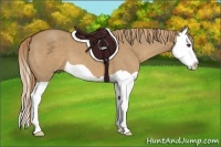 Horse Color:Red Dun Splash 