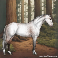 Horse Color:Gray Bay Sabino Rabicano and Gray Silver Bay Sabino Rabicano