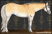 Horse Color:Silver Buckskin Onyx 