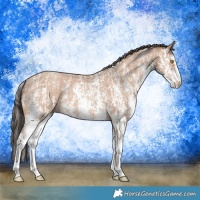 Horse Color:Amber Champagne Sabino Rabicano  and Amber Champagne Sabino Rabicano 