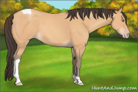 Horse Color:Amber Champagne Tobiano 