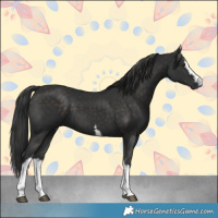 Horse Color:Platinum White Spotted Liver Chestnut Sabino 