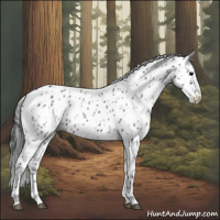 Horse Color:Black Leopard 