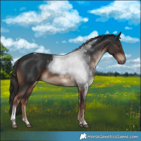 Horse Color:White Spotted Liver Chestnut Tobiano 