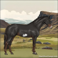 Horse Color:Liver Chestnut Frame 