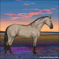 Horse Color:Liver Red Dun Rabicano 