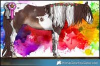 Horse Color:White Spotted Chocolate Brown Tobiano 