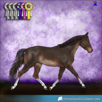 Horse Color:White Spotted Liver Chestnut 