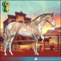Horse Color:White Spotted Chocolate Palomino Pearl 