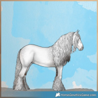 Horse Color:Gray White Spotted Liver Chestnut 