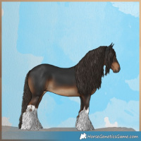 Horse Color:Gray White Spotted Liver Chestnut 