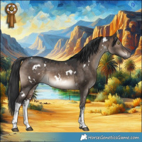 Horse Color:White Spotted Brown Dun 