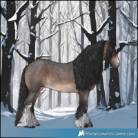 Horse Color:White Spotted Brown Roan 