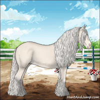 Horse Color:Cremello Splash  and Cremello 