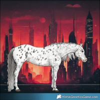Horse Color:White Spotted Grullo Blanket 