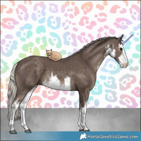 Horse Color:White Spotted Silver Black 
