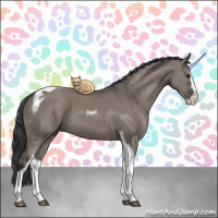 Horse Color:Grullo Splash Tobiano 
