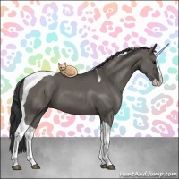 Horse Color:Grullo Splash Tobiano