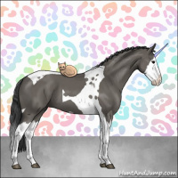 Horse Color:Grullo Splash Tobiano
