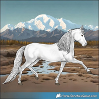 Horse Color:Gray White Spotted Liver Chestnut 