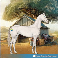 Horse Color:Smoky Creme Roan 