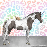Horse Color:Silver Black Tobiano Rabicano 
