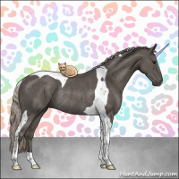 Horse Color:Silver Black Tobiano Rabicano