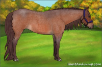Horse Color:Chocolate Brown Roan 