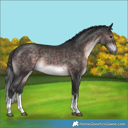 Horse Color:Platinum White Spotted Brown 