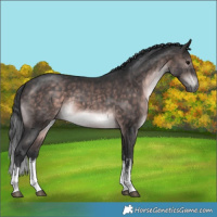 Horse Color:Platinum White Spotted Brown