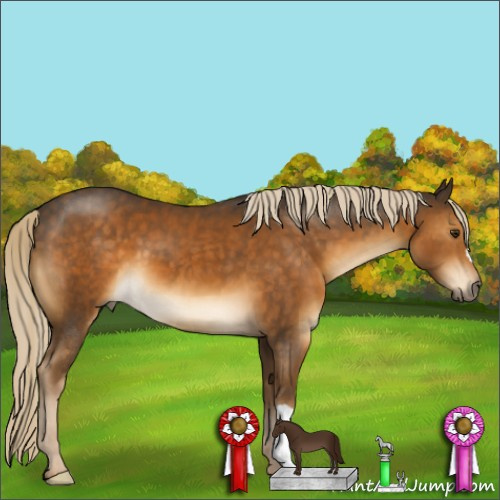 Horse Color:Chocolate Palomino 