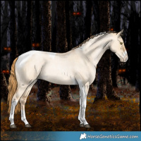 Horse Color:Red Dun Roan Pearl Tobiano Frame 
